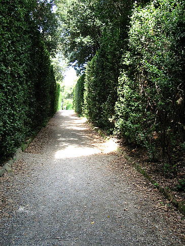 Im Garten des Palazzo Pitti Fotos