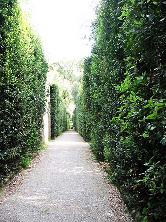 Fotos Im Garten des Palazzo Pitti