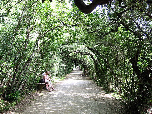 Im Garten des Palazzo Pitti Fotos