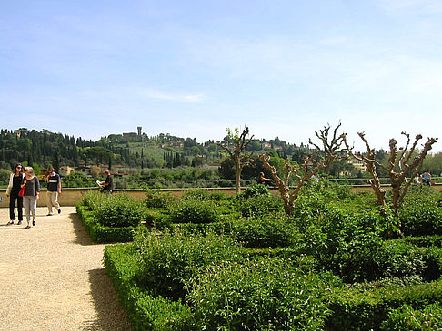 Fotos Im Garten des Palazzo Pitti | Florenz